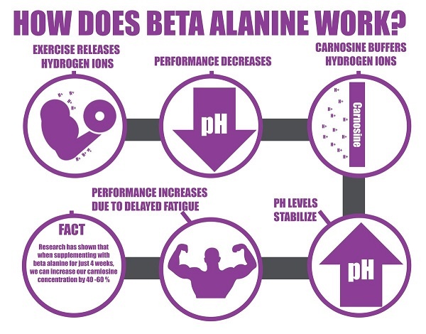 beta-alanine