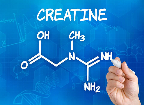 creatine-κρεατινη