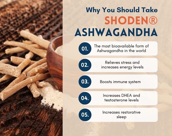 shoden-ashwagandha